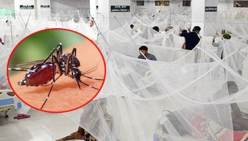 ডেঙ্গুতে প্রাণ গেল আরও ৪ জনের